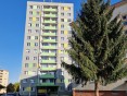 Pronájem bytu 1+1 Olomouc - Kmochova - PRONAJATO